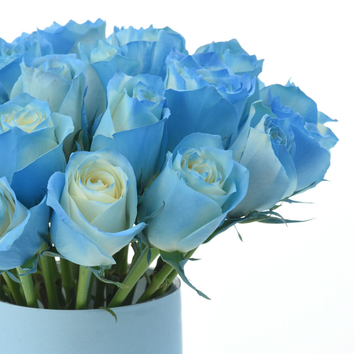 31 Sky Roses Love You Dad Vase
