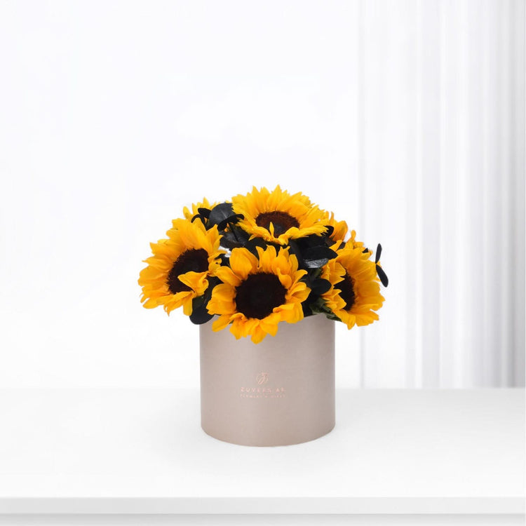 Vibrant sunflowers in matte beige cylinder vase, minimalist white background.