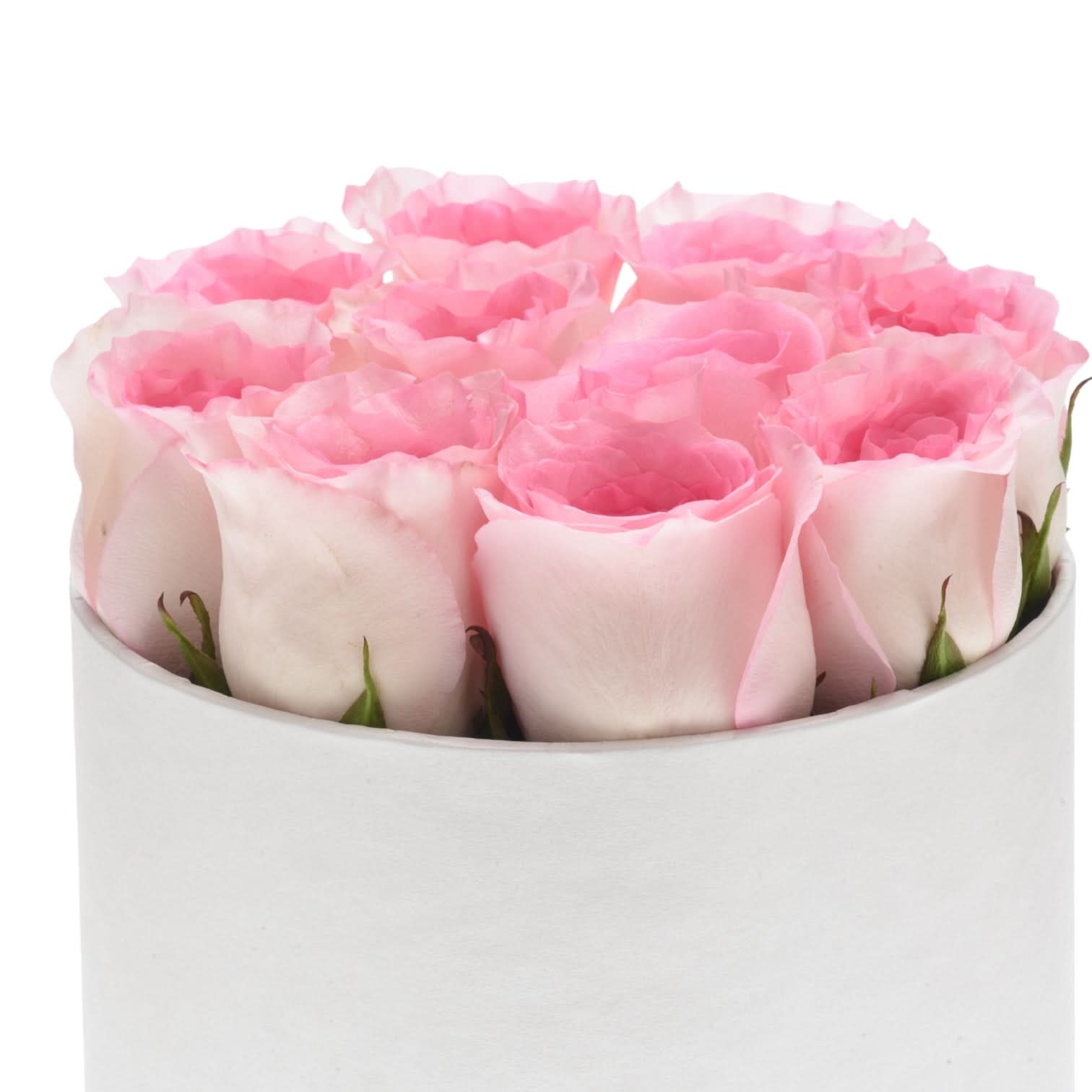 Blushed by Morning in Box - Zuvees.ae