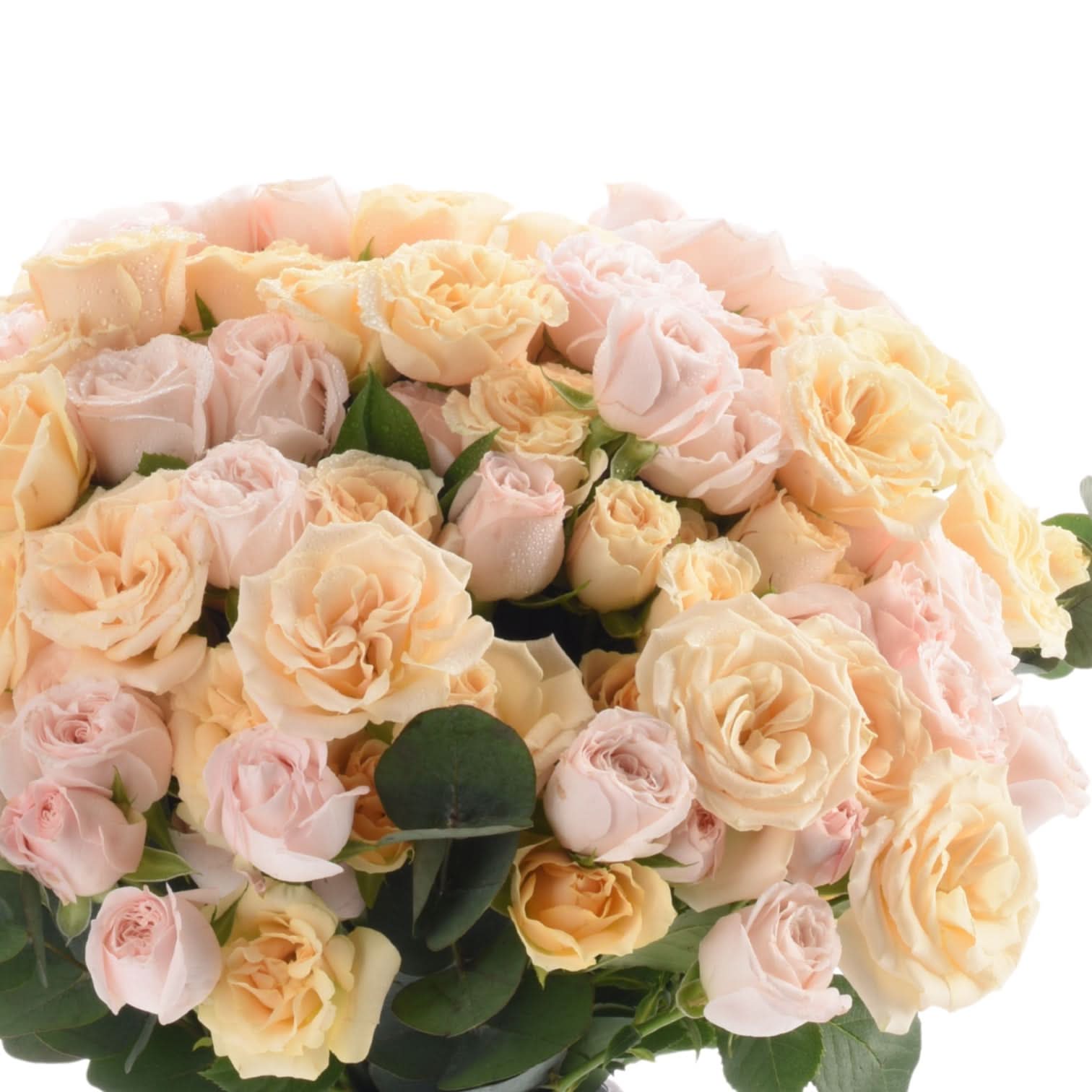 Soft blush and buttercream roses, dew-kissed, lush greenery, elegant bouquet.