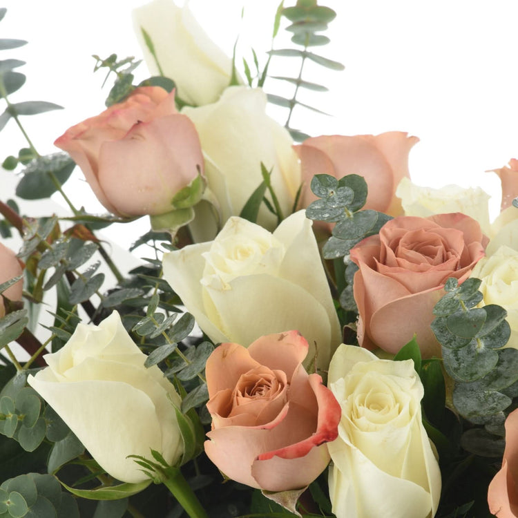 Cappuccino & Sama Roses - Zuvees.ae