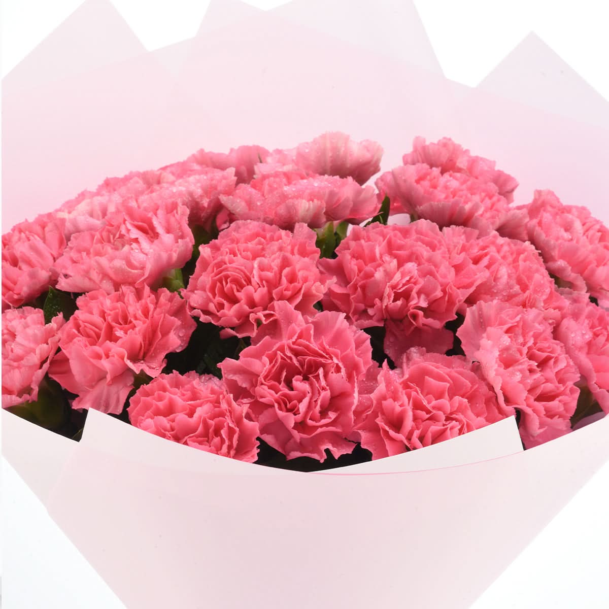 Carnations in Velvet Light Bouquet - Zuvees.ae