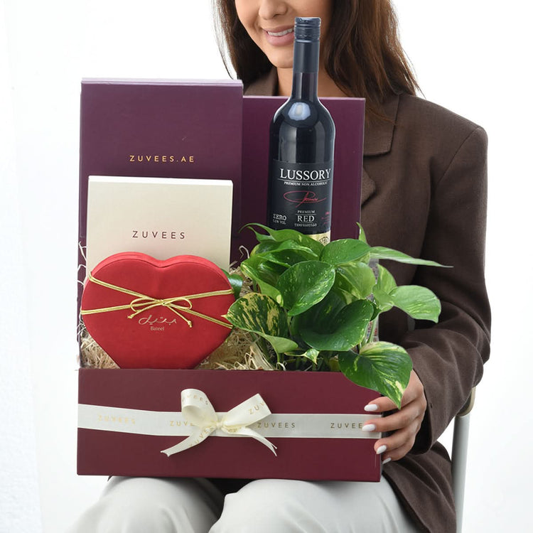 Diwali Money Plant & Chocolate Gift Hamper - Diwali Gifts