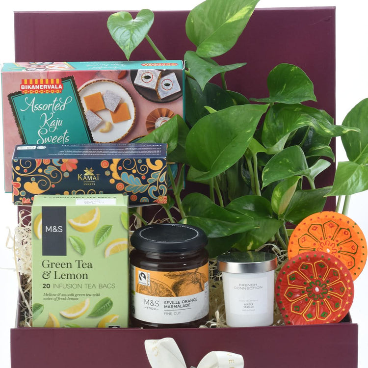 Diwali Prosperity Money Plant Gift Hamper - Diwali Gifts