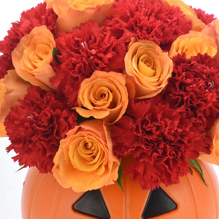 Halloween Rose & Carnation Arrangement - Halloween Gifts