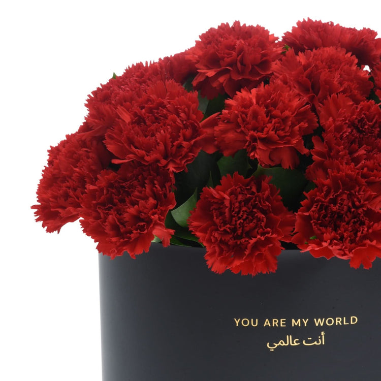 Held in Red Cake Combo - Zuvees.ae