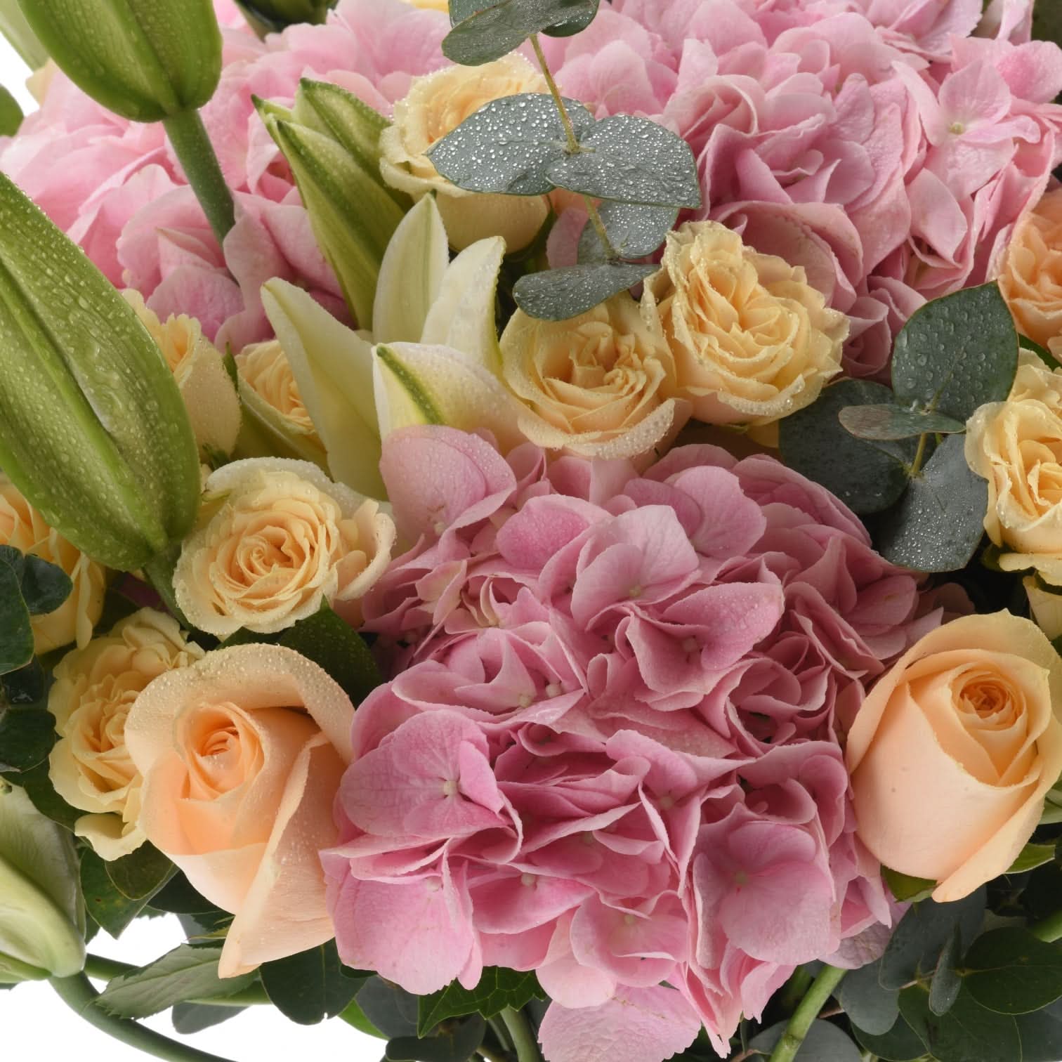 Soft pink hydrangeas, peach roses, and dew-kissed eucalyptus in lush bouquet.