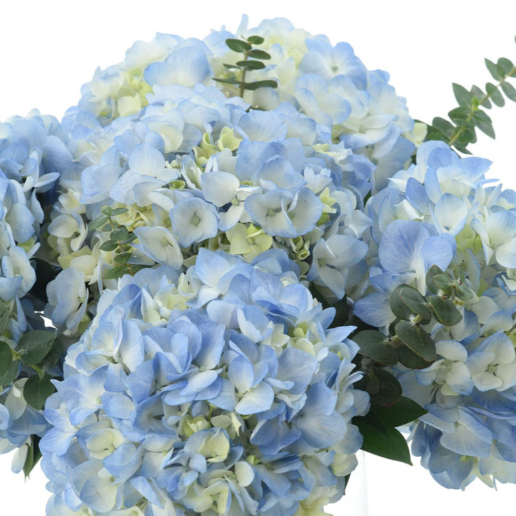 Midnight Hydrangea Vase
