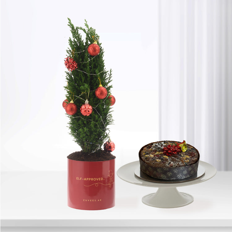 Mini Decorated Christmas Tree With Cake Combo - Zuvees.ae