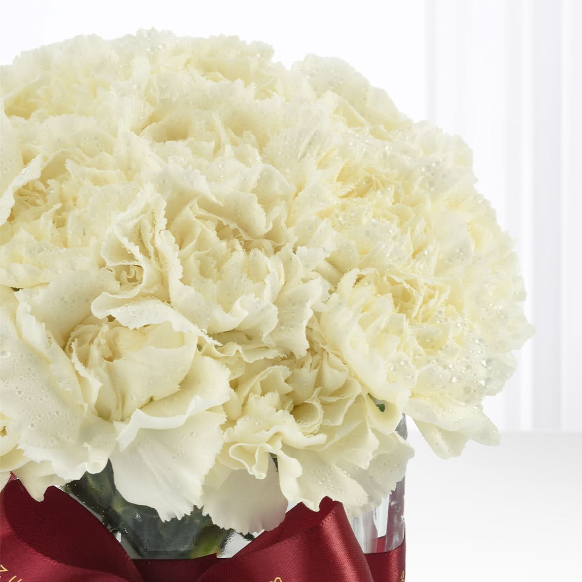 Moonveil Carnations Vase - Zuvees.ae