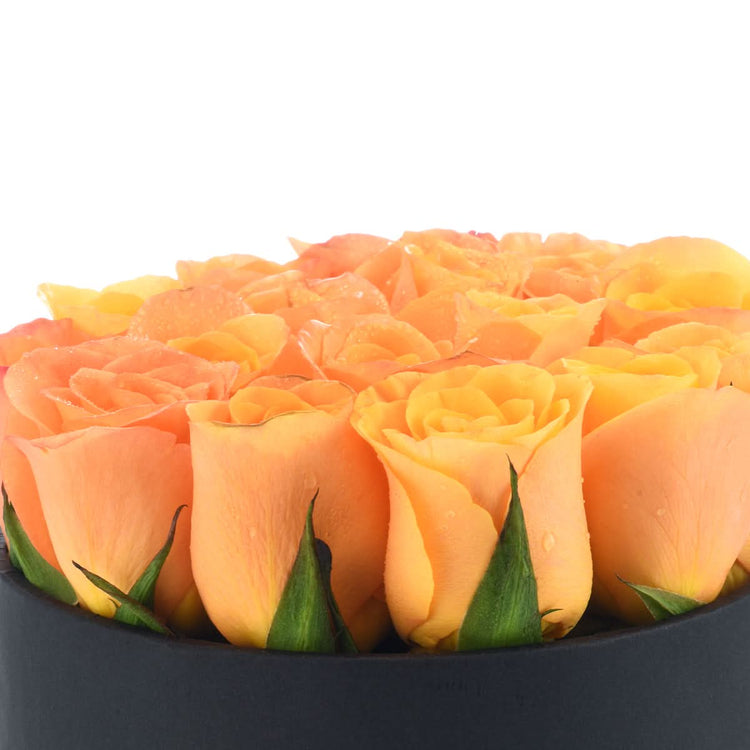 Orange Rose Flower Box - Halloween Gifts