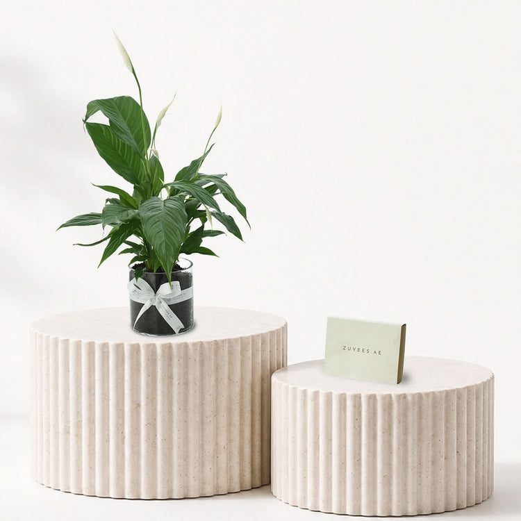 Peace Lily - Spathiphyllum Plant Chocolate Combo
