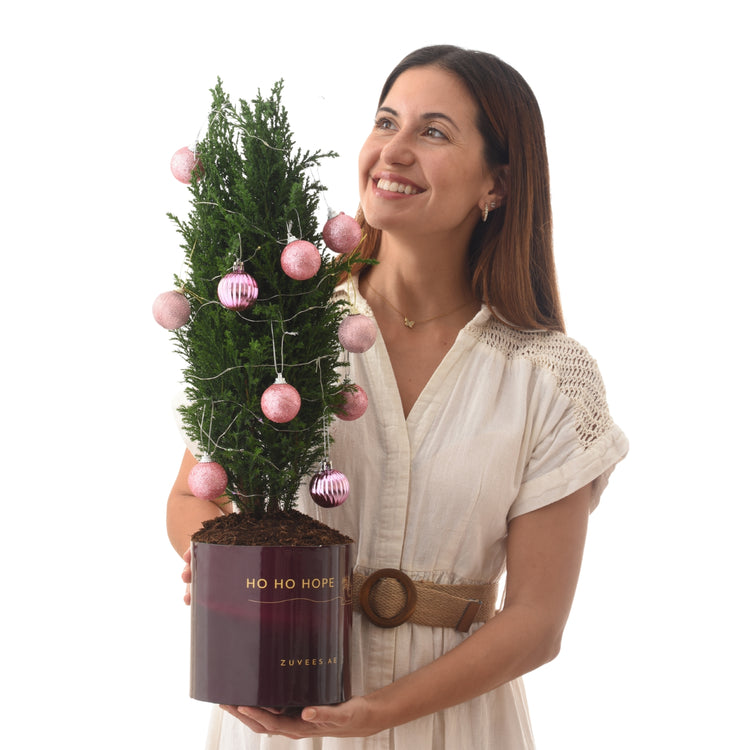 Woman holds festive mini tree in maroon pot with pink ornaments and "Ho Ho Hope" text.