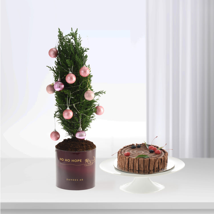 Pink baubles adorn a green tree in burgundy pot beside chocolate cake.