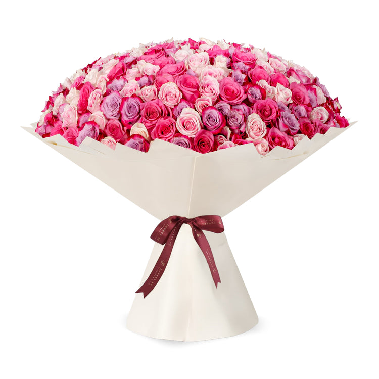 Lush pink, purple, white roses in cream wrap with burgundy ribbon, elegant gift bouquet.