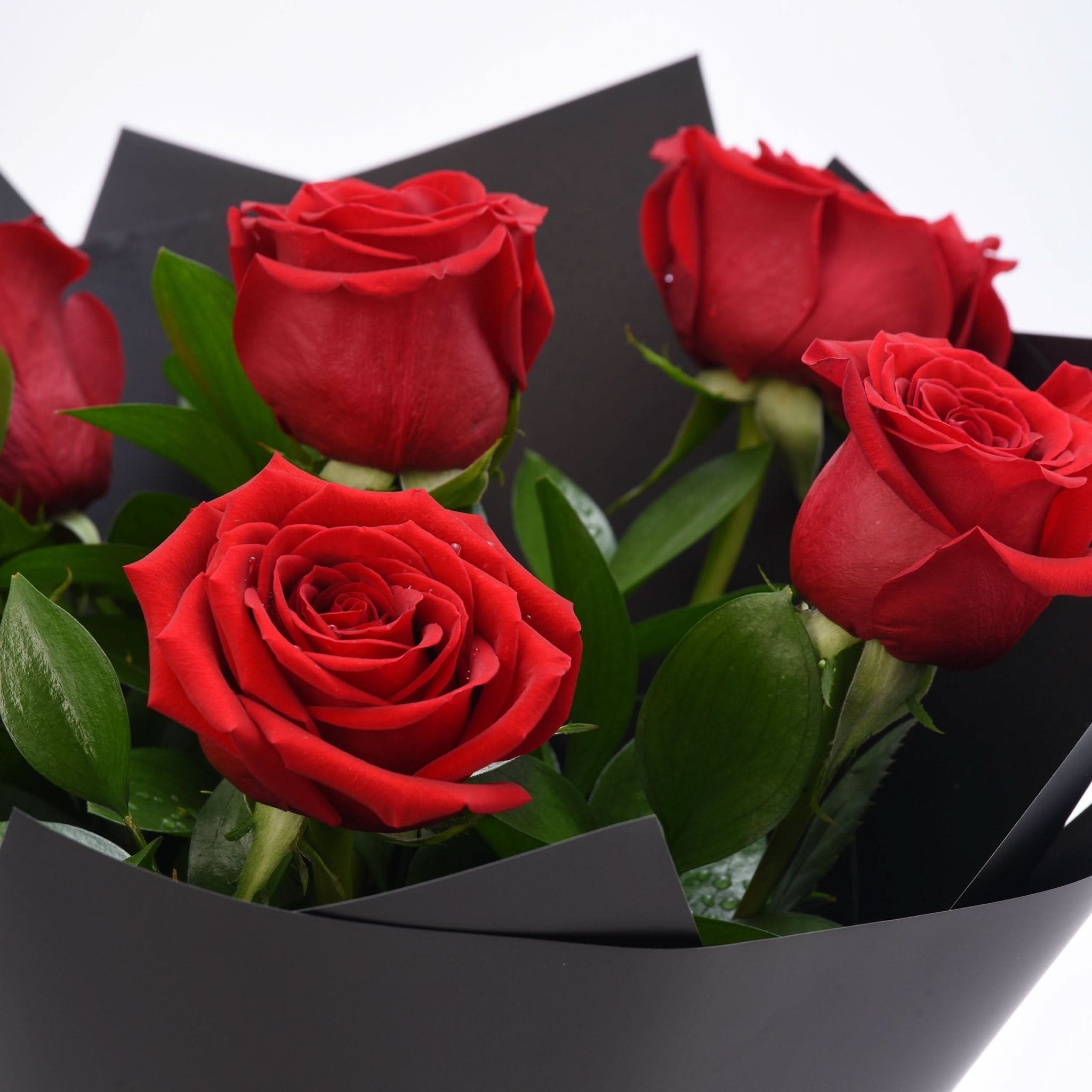 Vibrant red roses in sleek black wrapping, lush green leaves, elegant and romantic.