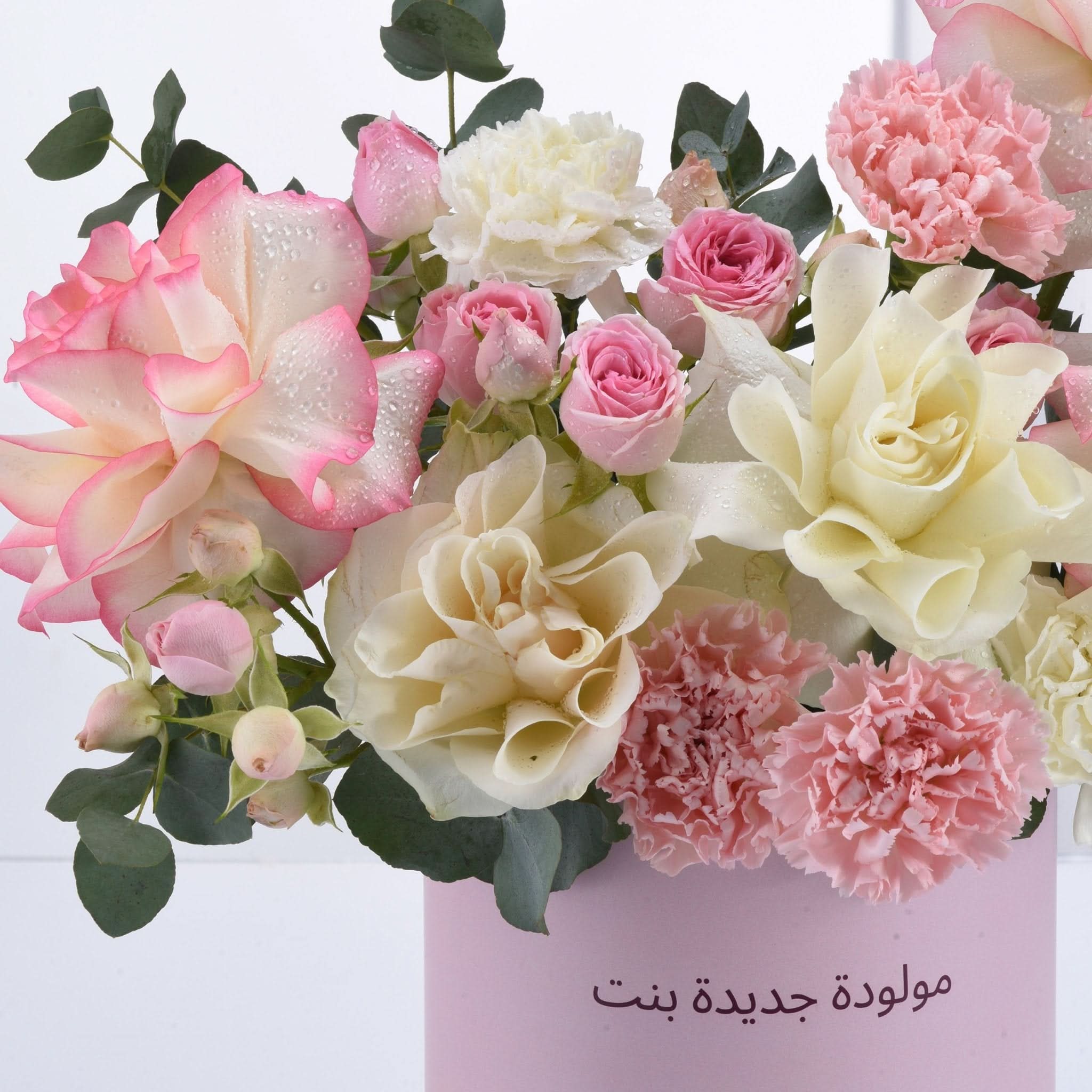Pink and cream roses, carnations, eucalyptus in soft pink box, dew-kissed petals, elegant bouquet.