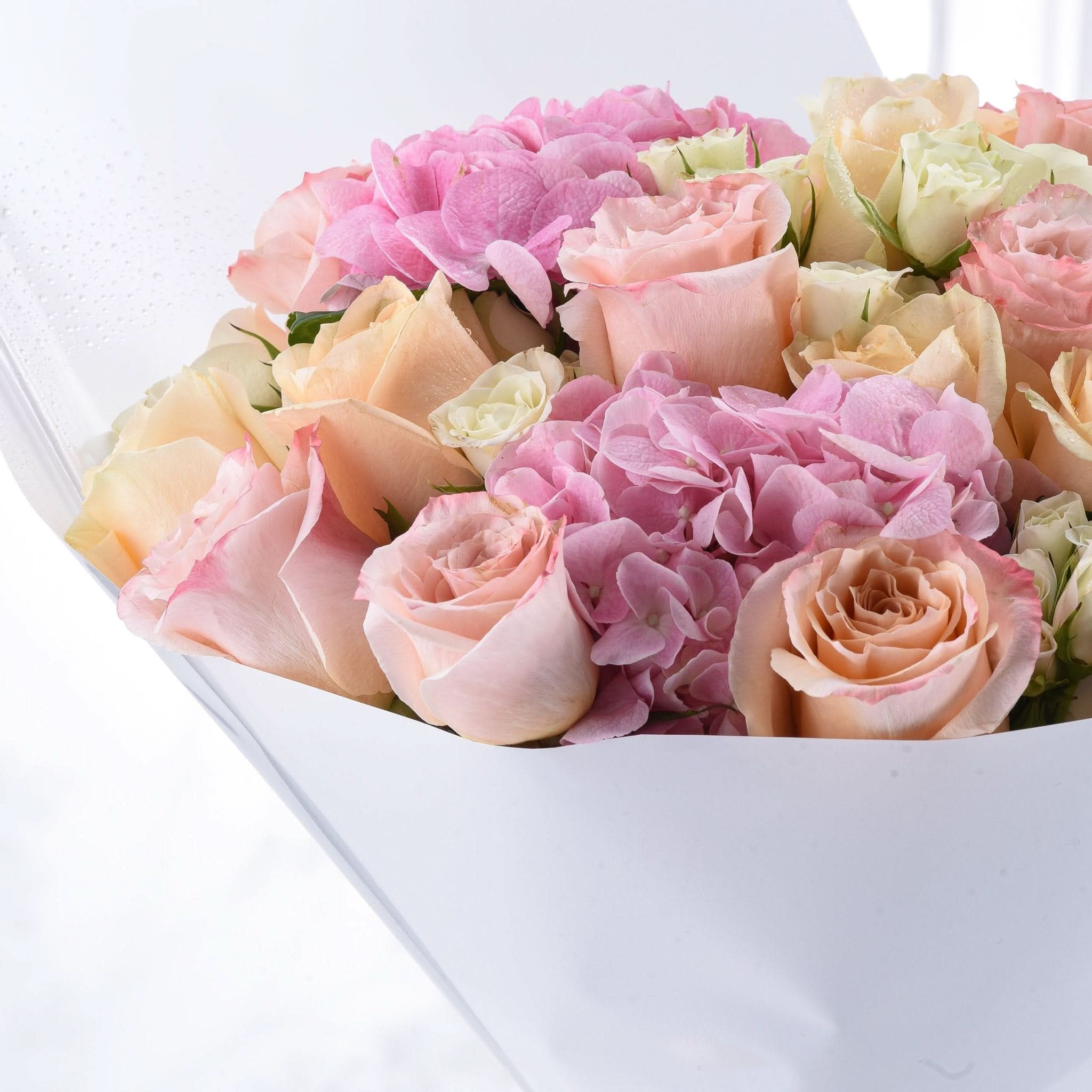 Delicate pink, peach, and cream roses with hydrangeas in sleek white box, dew-kissed petals.