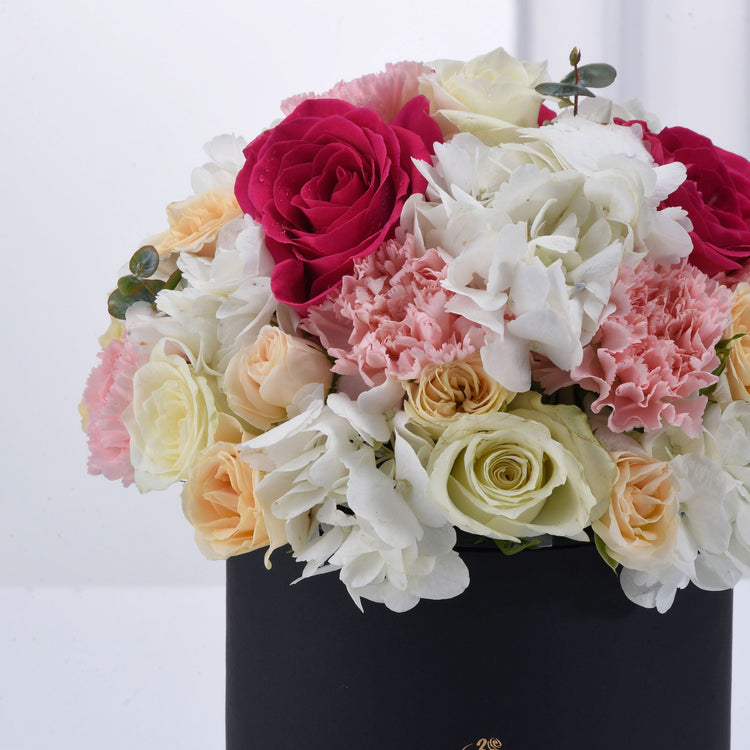 Vibrant pink, white, and cream roses and hydrangeas in sleek black box.