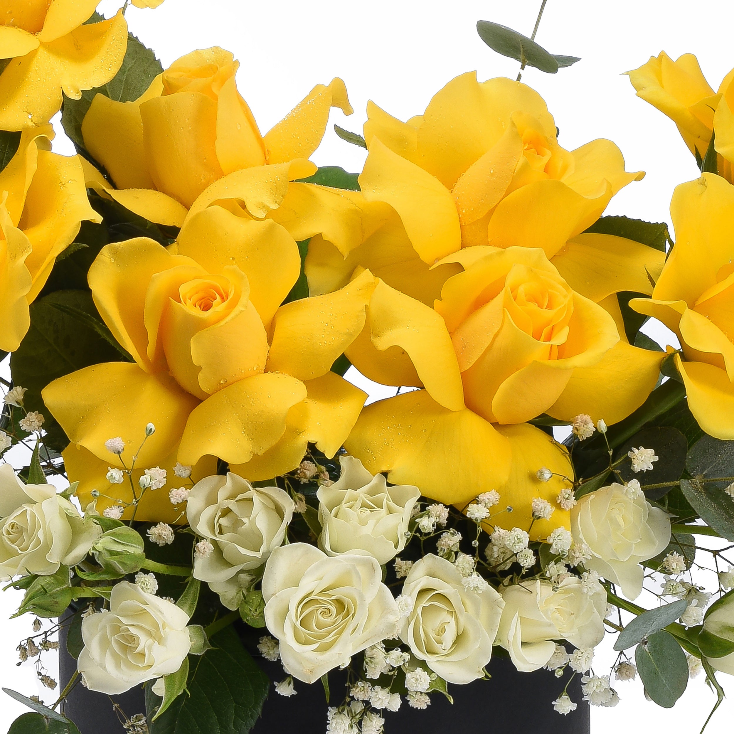 Vibrant yellow roses with dewdrops, accented by creamy white blooms and greenery.
