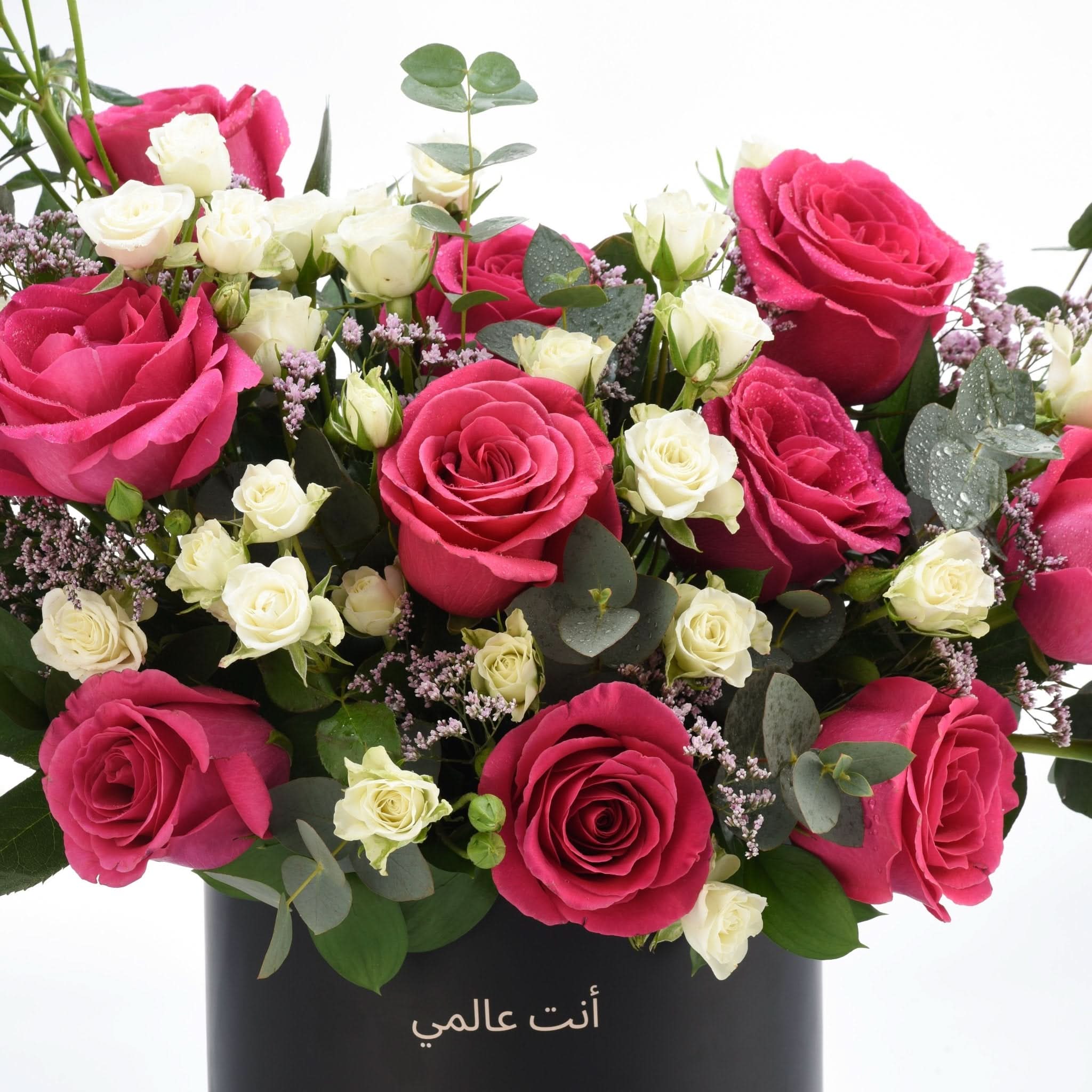 Vibrant pink and white roses with eucalyptus, dew-kissed, in sleek black vase, Arabic text "أنت عالمي".