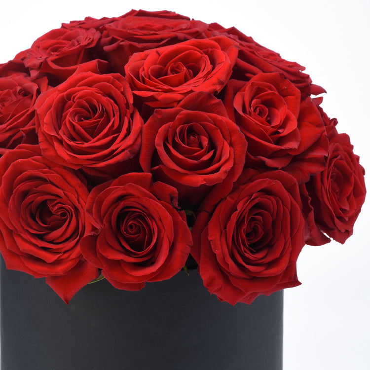 Vibrant red roses in sleek black vase, rich petals, romantic bouquet.