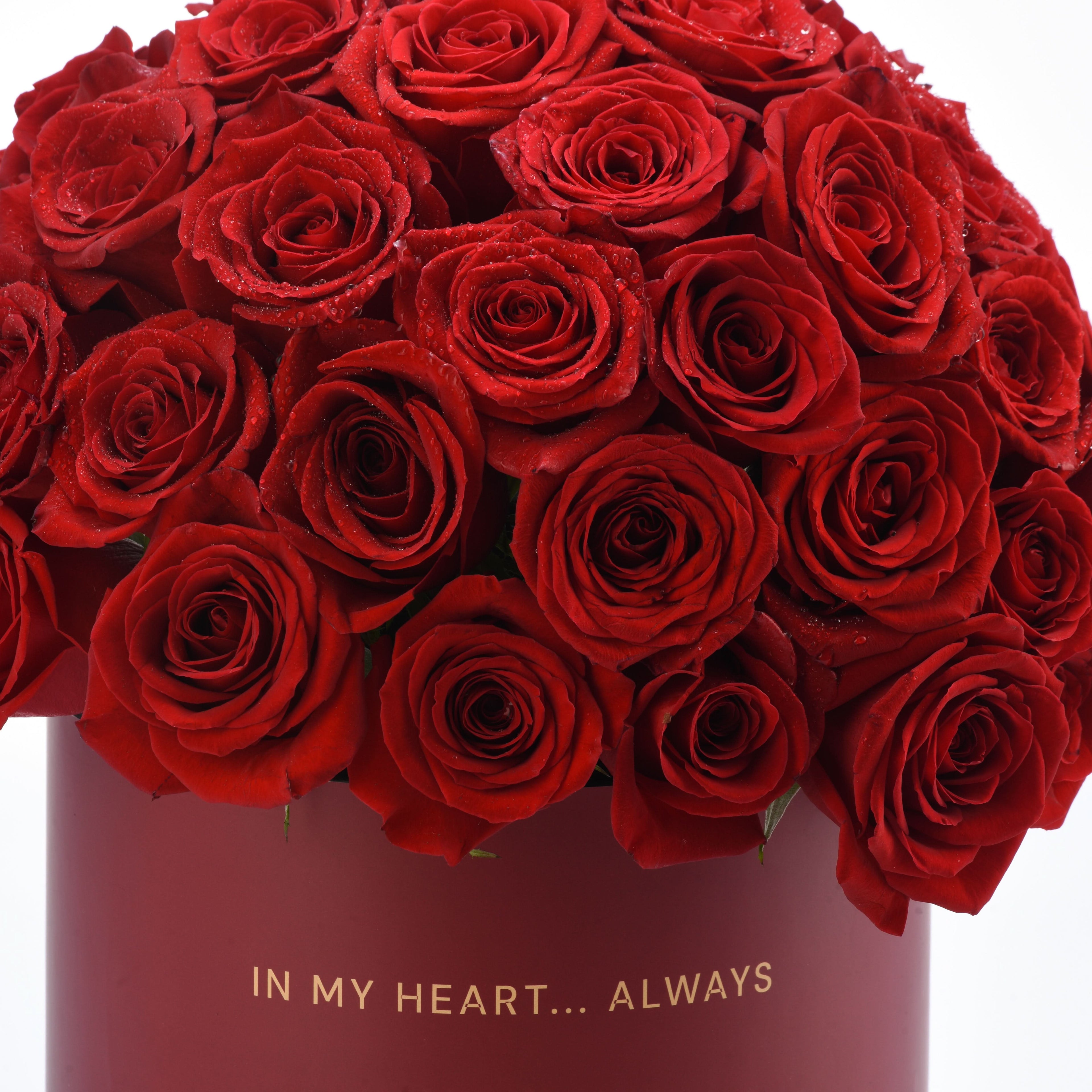 Vibrant red roses glisten with dewdrops in a deep red box reading "IN MY HEART... ALWAYS".