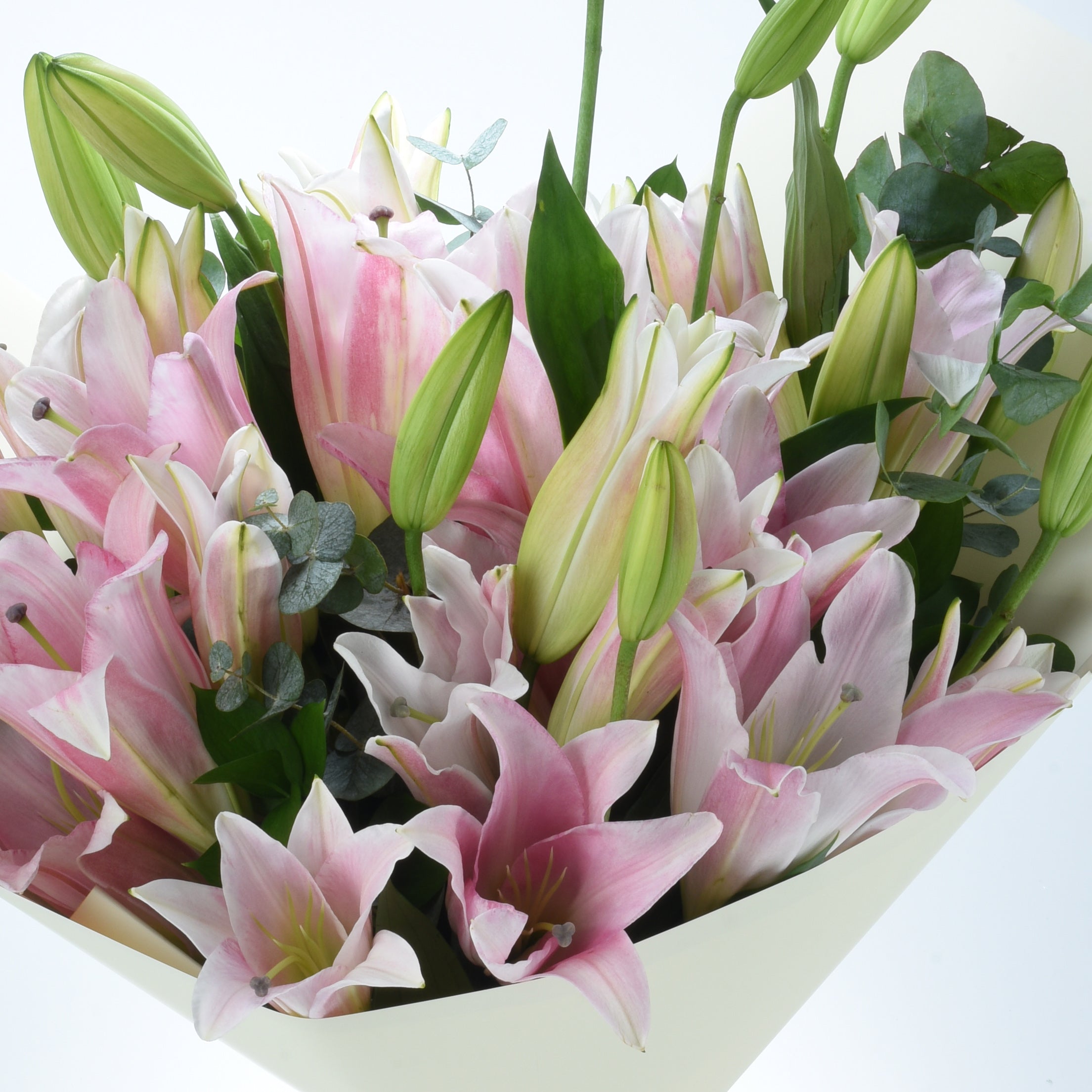 Soft pink lilies with green buds and leaves in cream wrap.