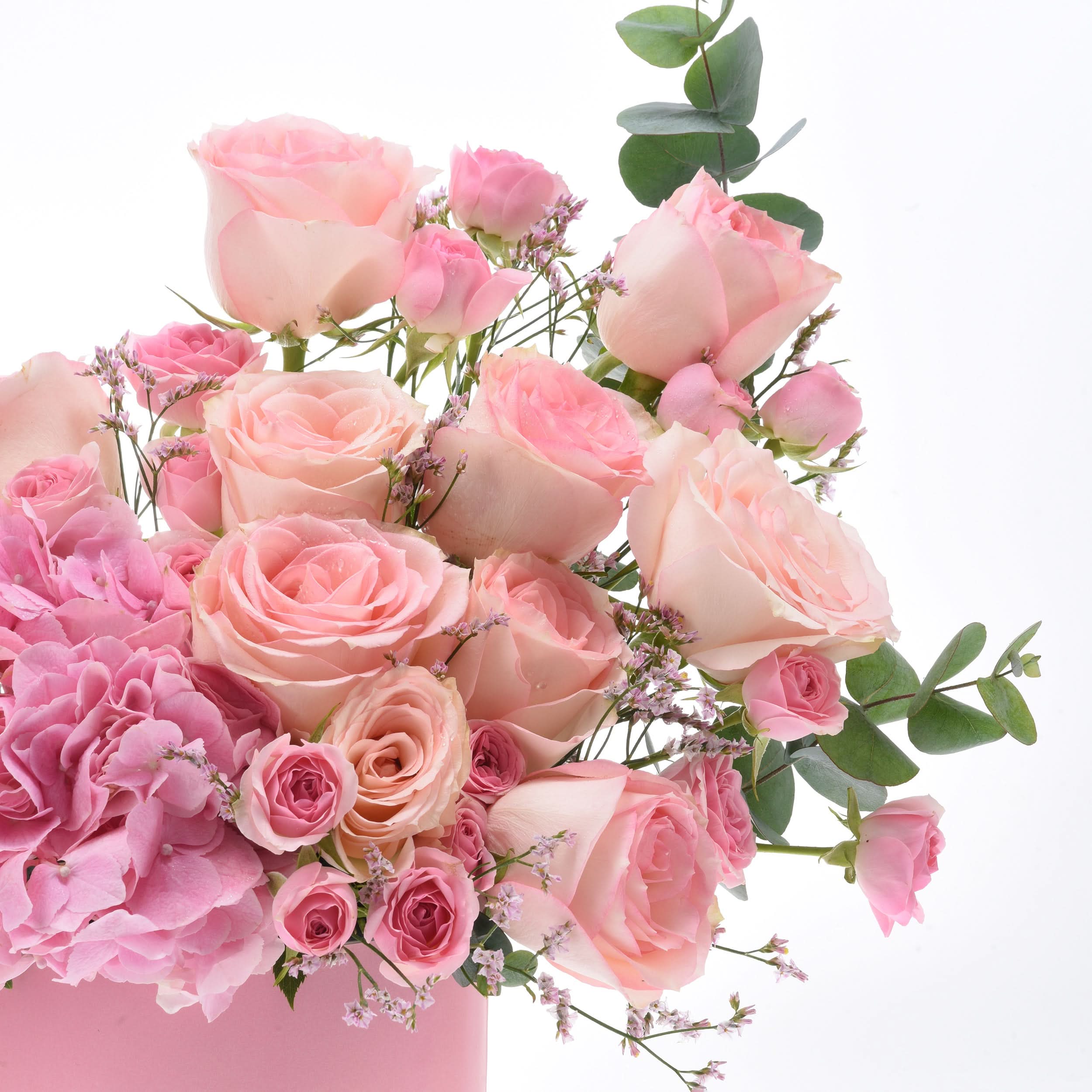 Soft pink roses, hydrangeas, and eucalyptus in elegant arrangement.