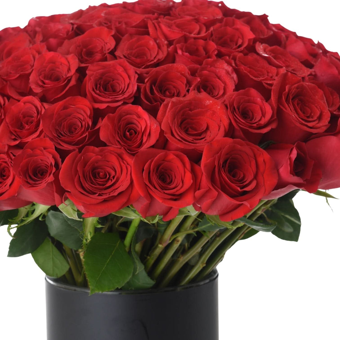 101 Red Roses In My Heart Vase - Zuvees.ae