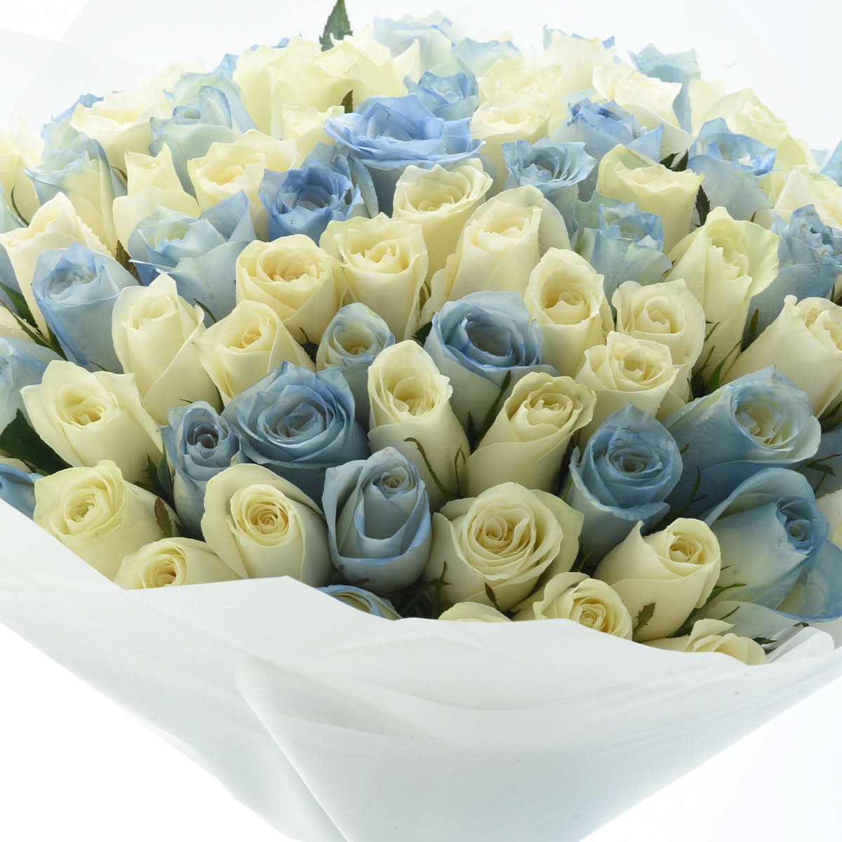 101 Blue Sky Roses Bouquet