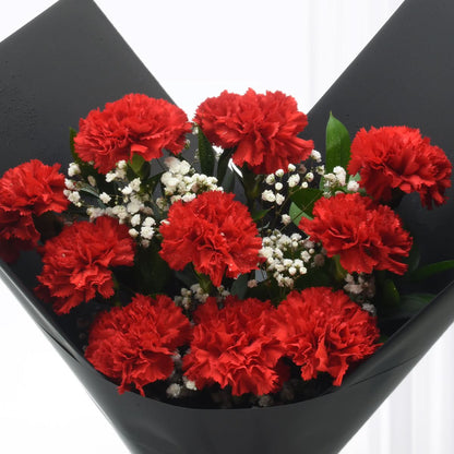 10 Burgundy Carnations Bouquet - Zuvees.ae