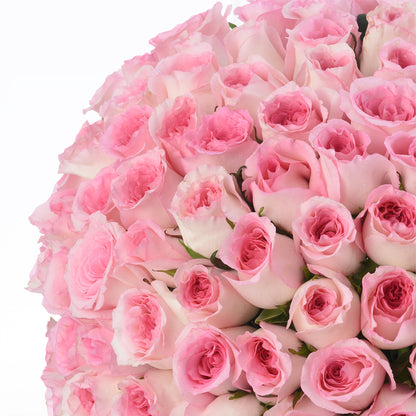 175 Pink Rose Empire - Zuvees.ae