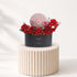 Red Fever Love Box with Bostani Chocolates Combo - Zuvees.ae