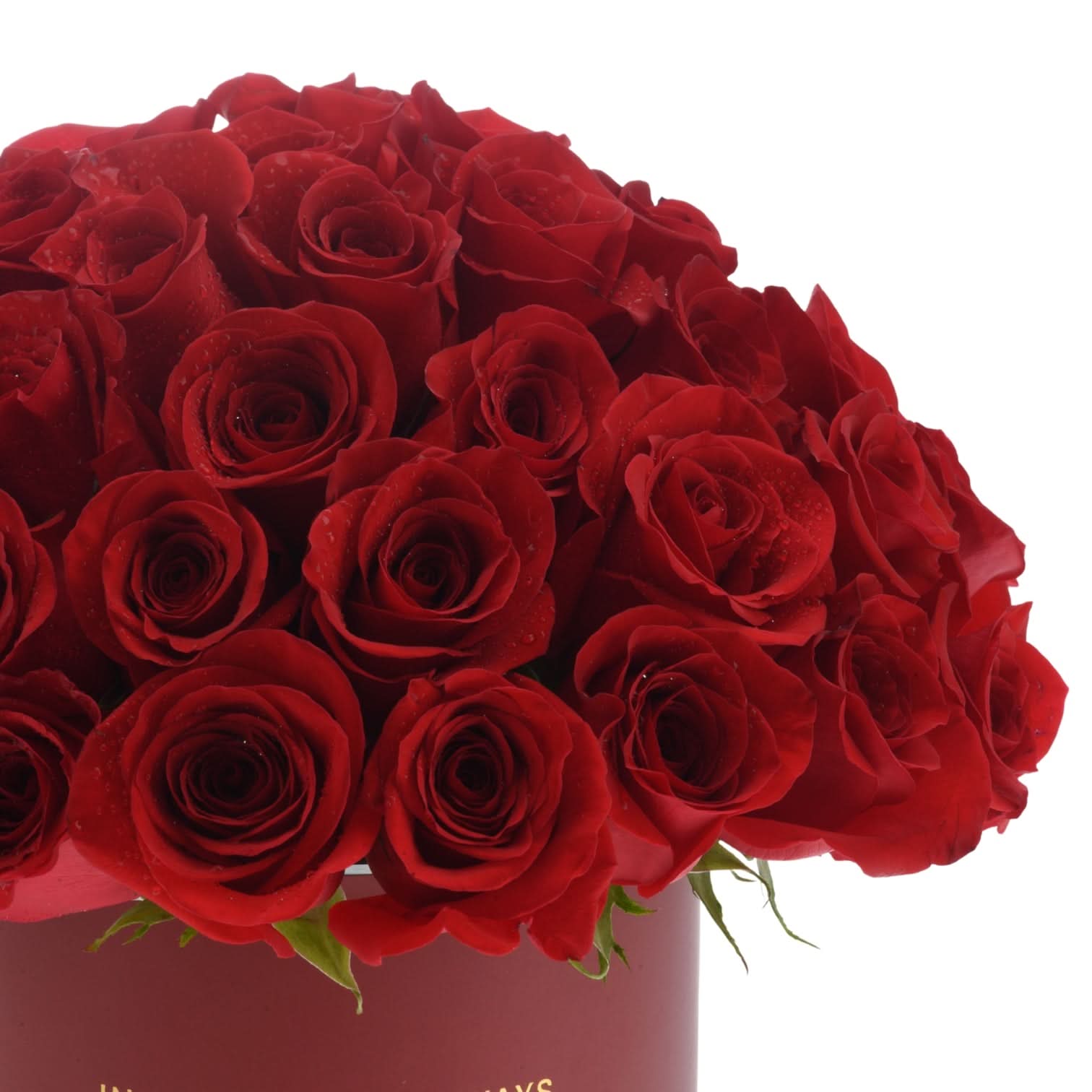 50 Roses in Red Aura Red Love Vase - Zuvees.ae