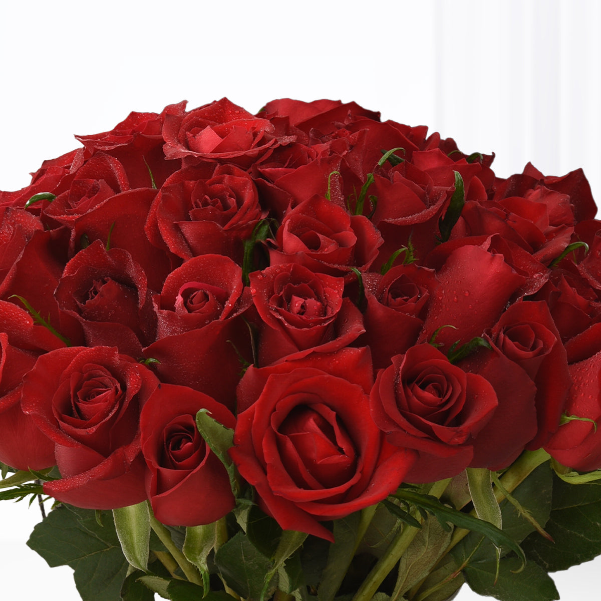 51 Ever Red Roses in Glass Vase