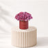 51 Velvety Roses In My Heart Always Vase - Zuvees.ae
