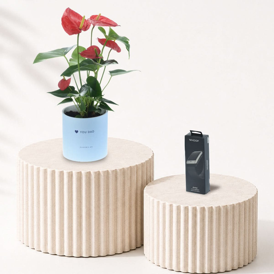 Red Anthurium plant in a Love You Dad vase with a WHOOP One 5.0 fitness band, Father&