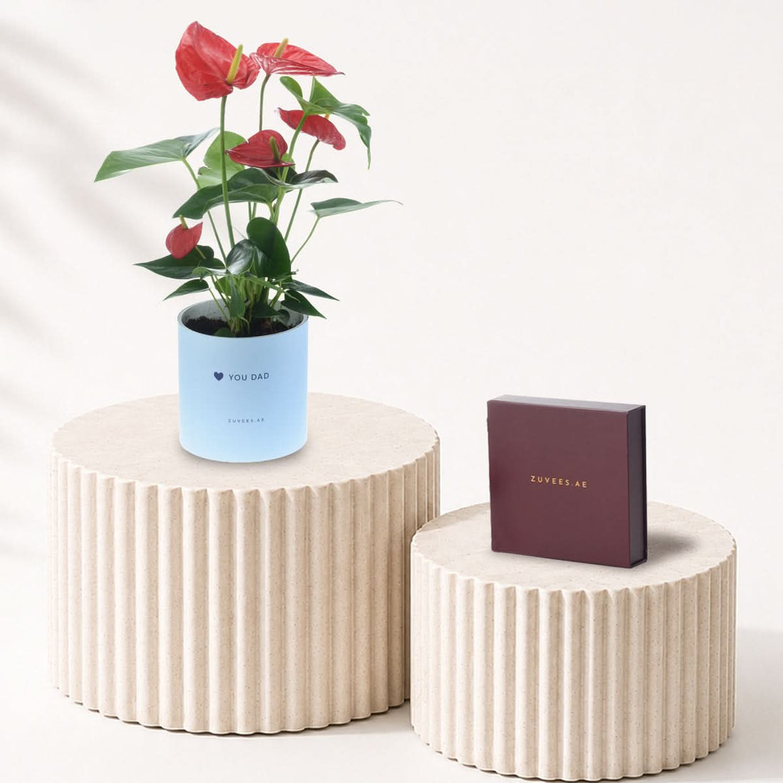 Red Anthurium plant in a Love You Dad vase with a large Zuvees chocolate box, Father&