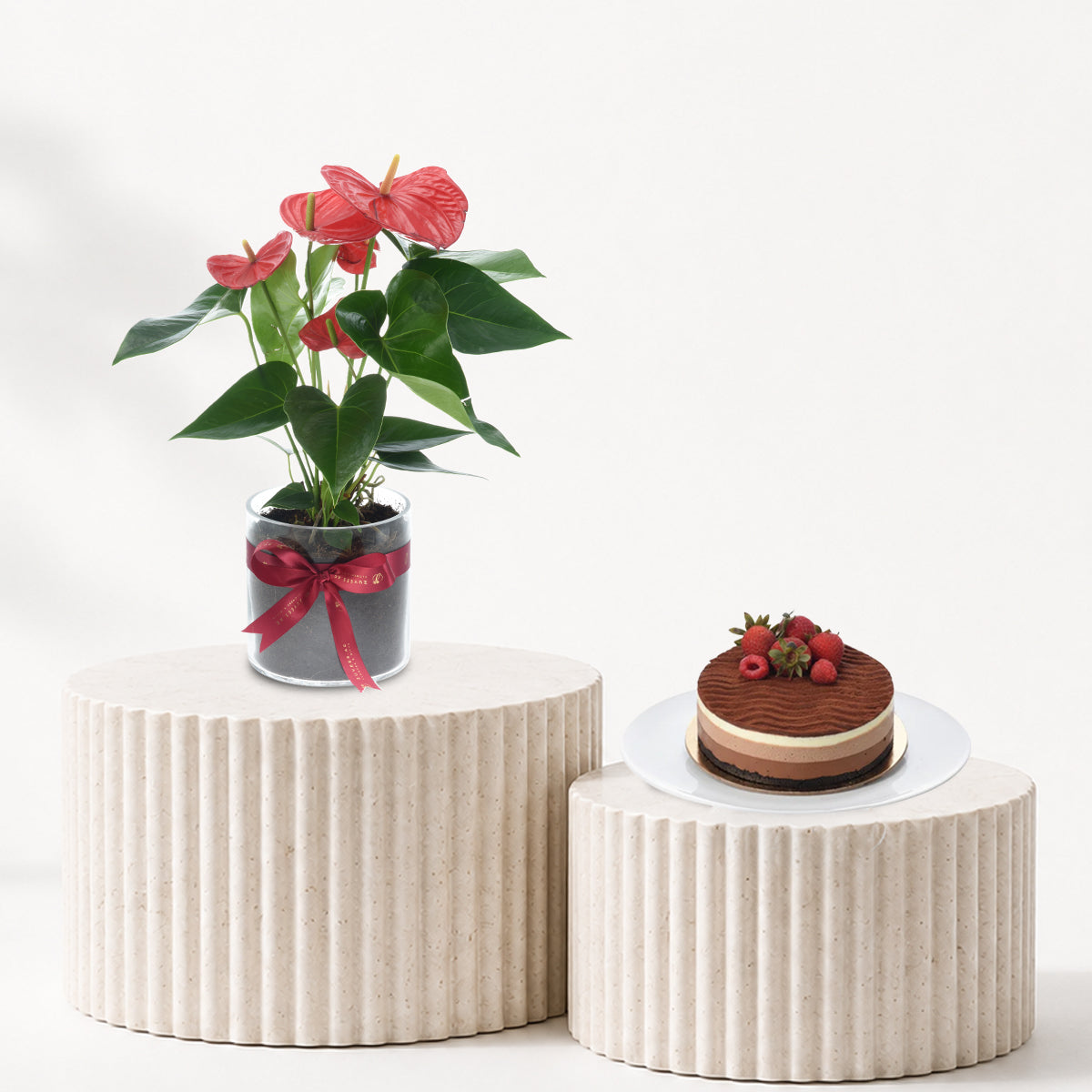 Anthurium Red Plant Cake Combo