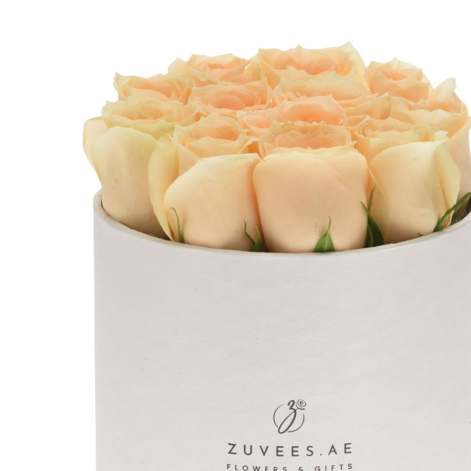 Aura of Dawn in Box - Zuvees.ae