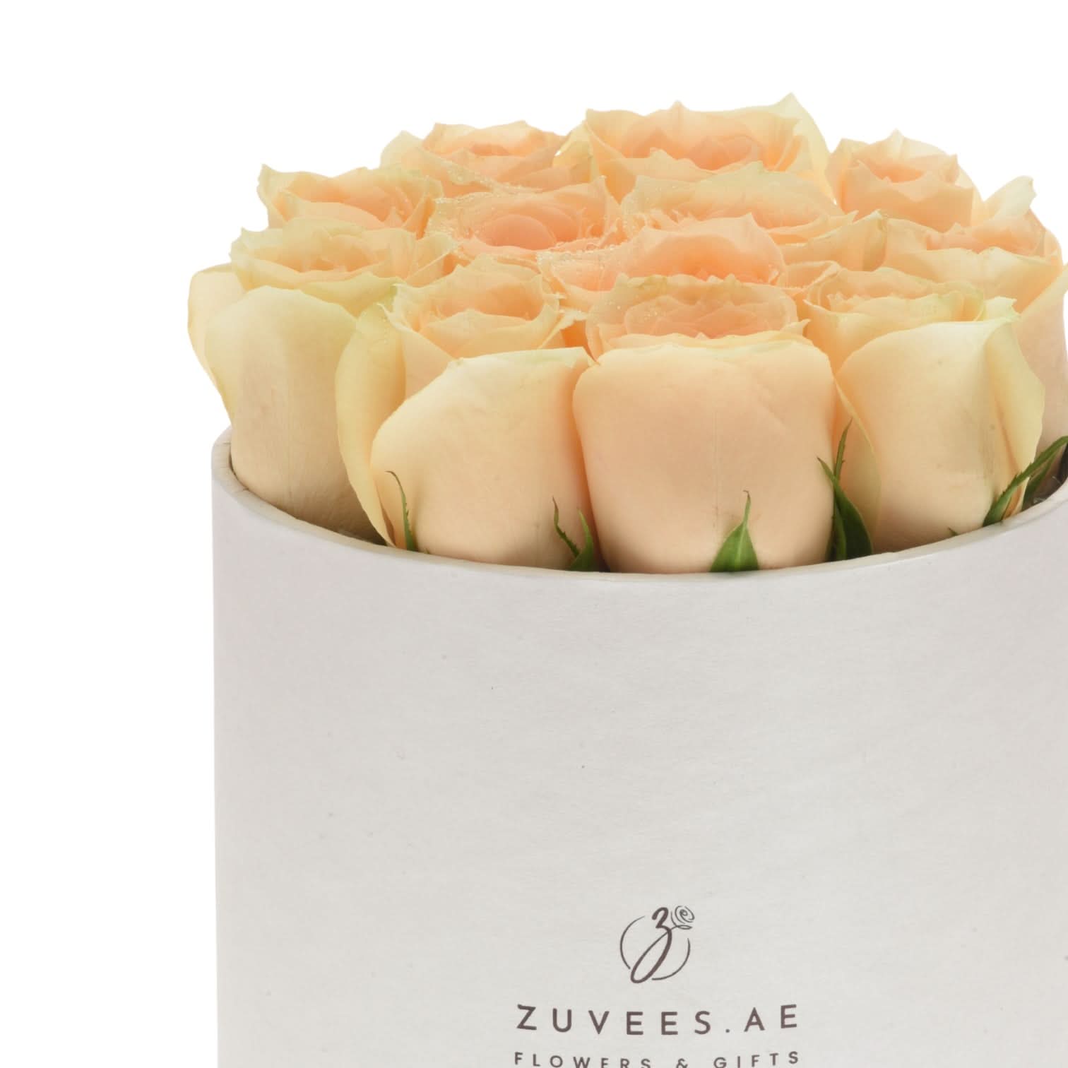 Aura of Dawn in Box - Zuvees.ae