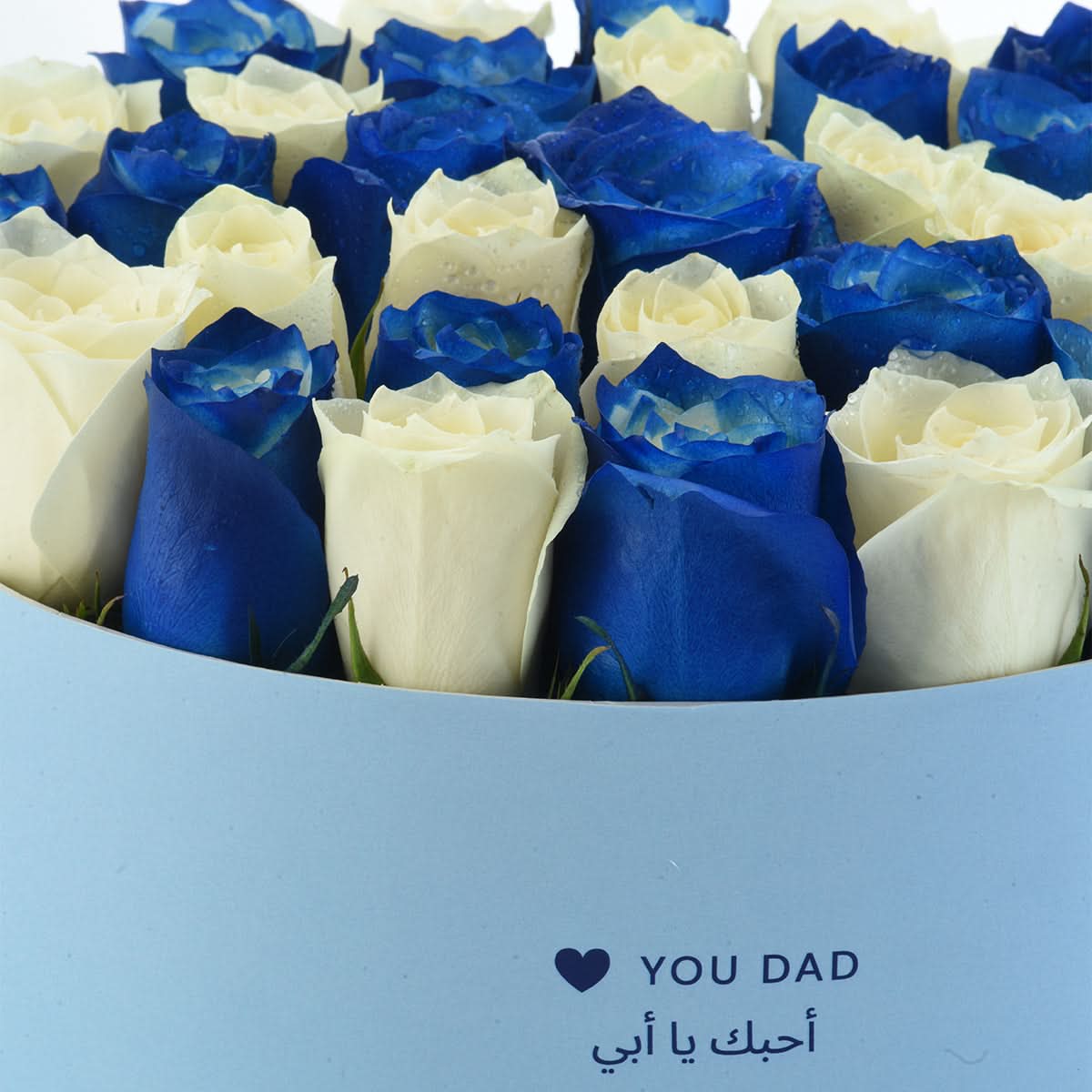 Blue Gentleman Tribute