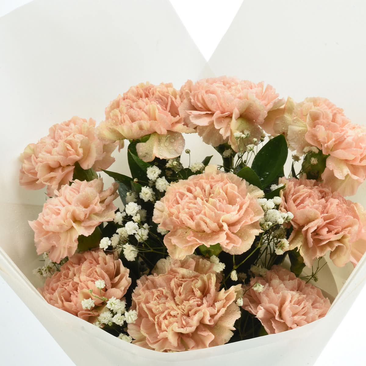 Blush Carnations Set - Zuvees.ae