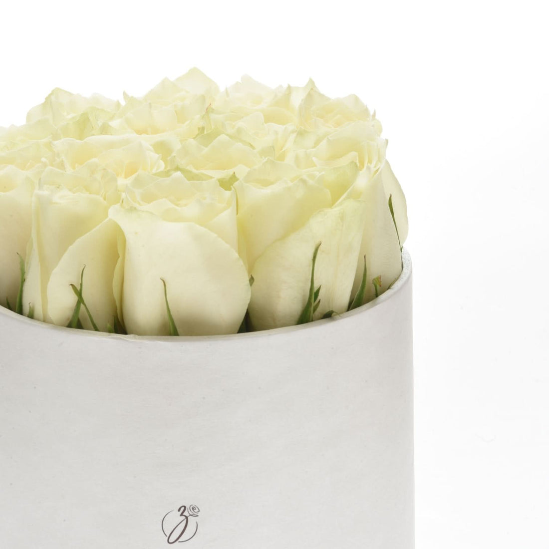 Calm White Roses in Box - Zuvees.ae