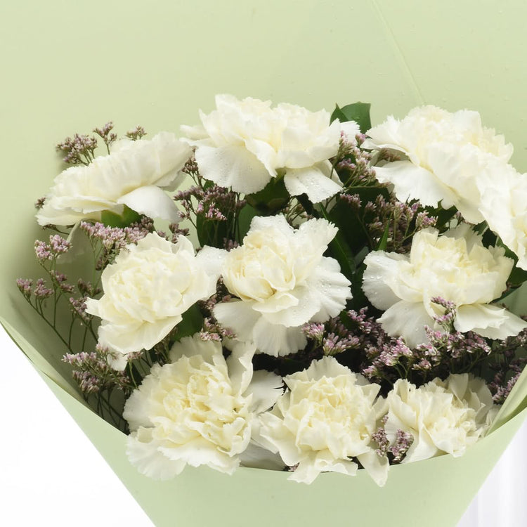 Carnations Cloud Bouquet - Zuvees.ae