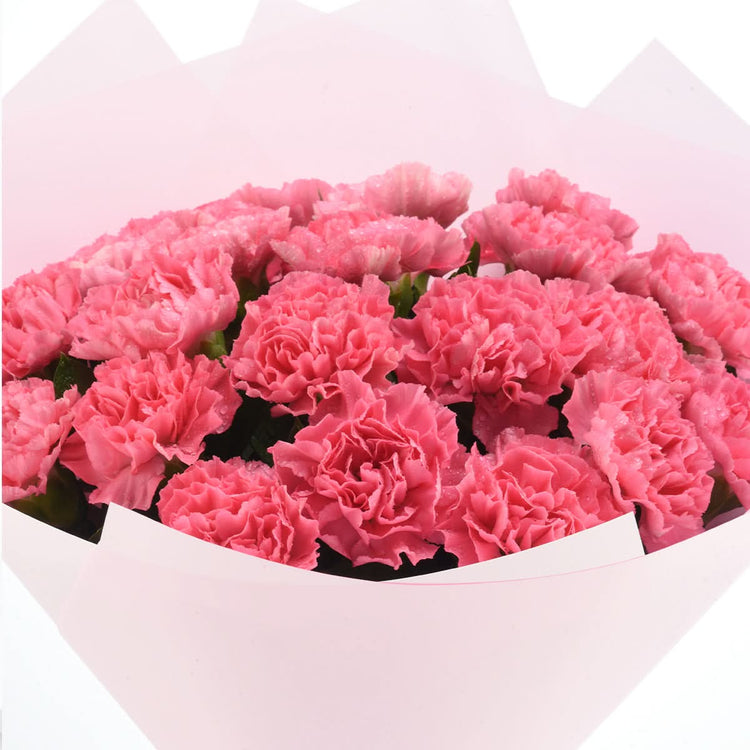 Carnations in Velvet Light Bouquet - Zuvees.ae