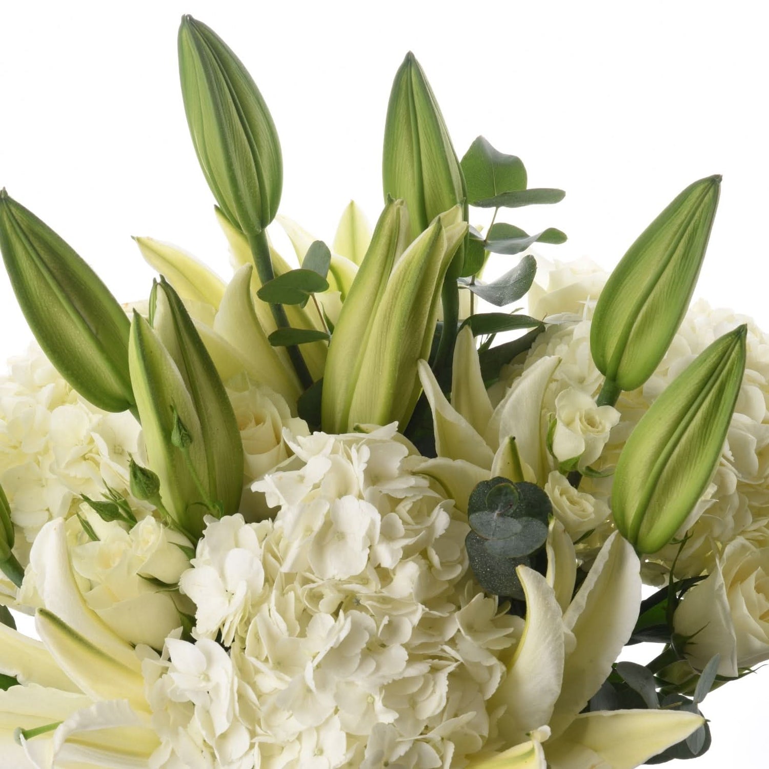 Elegant white bouquet with green lily buds, roses, hydrangeas, and eucalyptus.