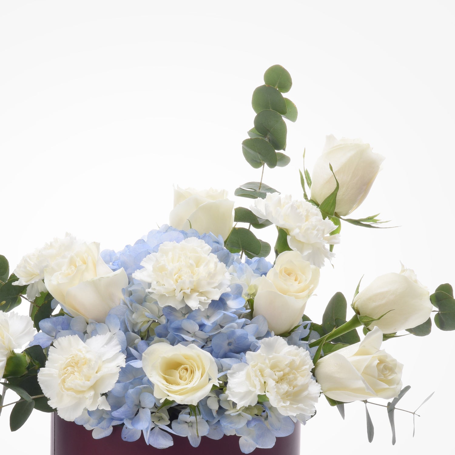 Elegant white roses, carnations, blue hydrangeas, and eucalyptus in a burgundy vase.