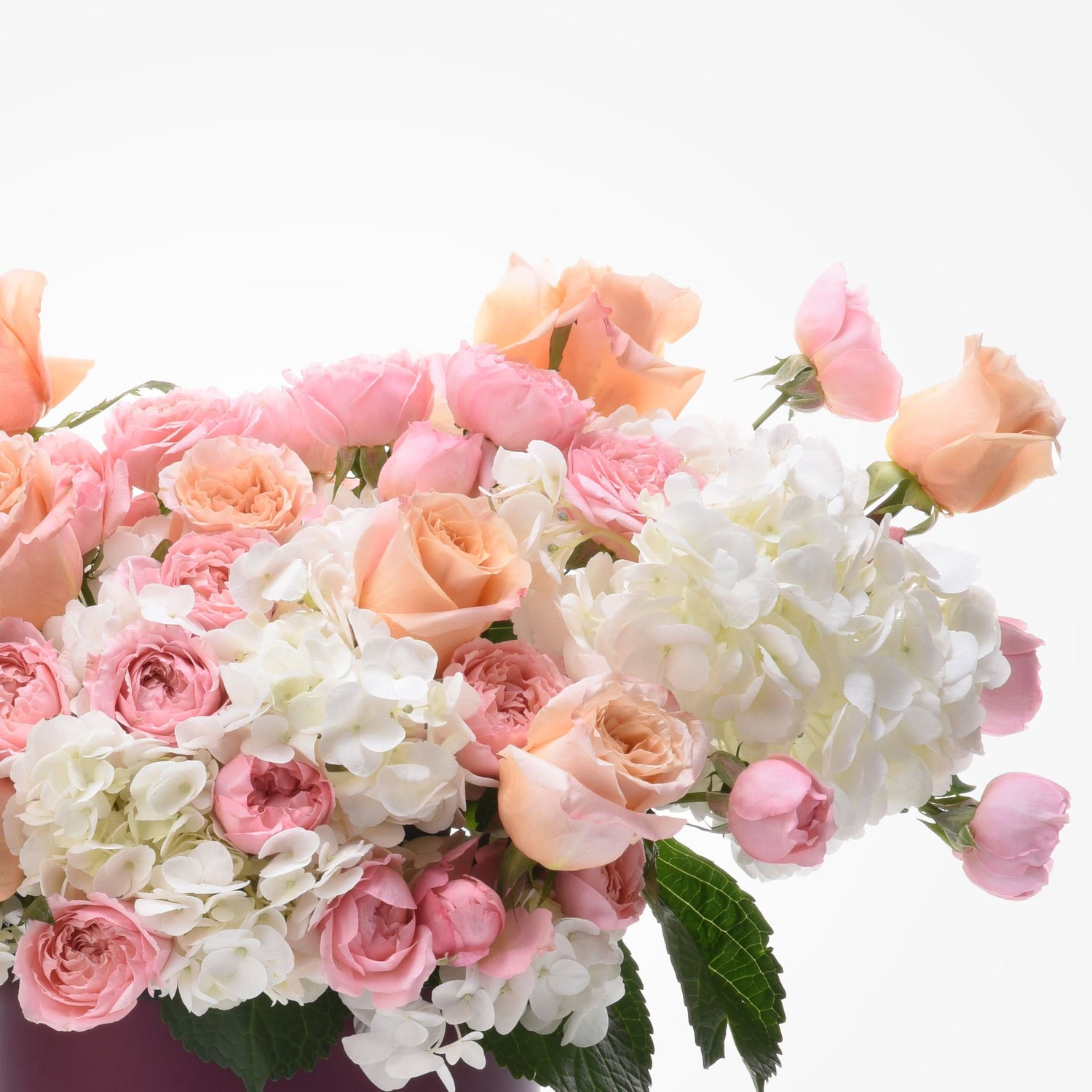 Soft peach and pink roses blend with creamy white hydrangeas against a bright white background.